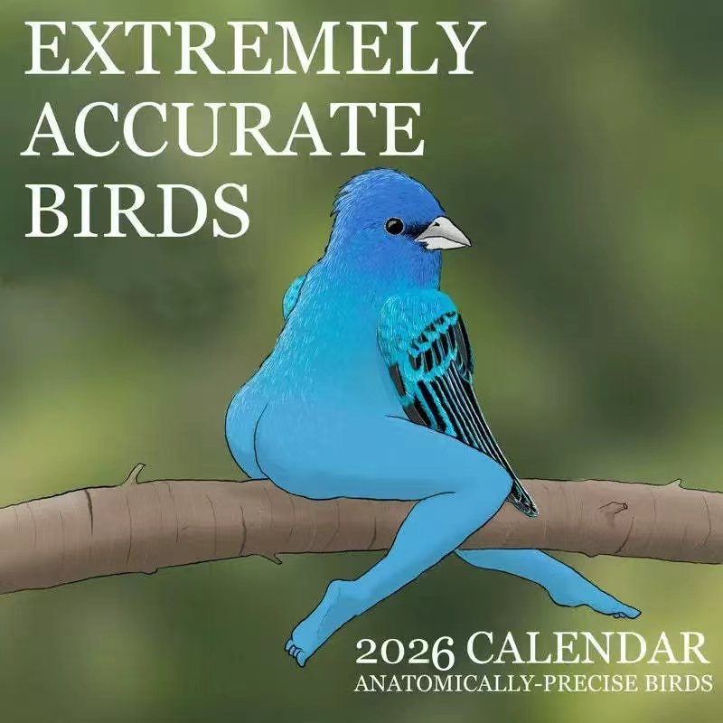 Home Decor Xmas Gifts - CALENDÁRIO DE EXTREMELIA ACCURADO BIRDS2026 ANO