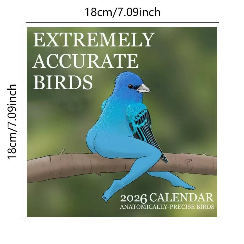 CALENDÁRIO DE EXTREMELIA ACCUR - Home Decor Xmas Gifts avaliação e preço