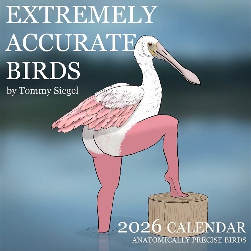 CALENDÁRIO DE EXTREMELIA ACCUR - Home Decor Xmas Gifts avaliação e preço