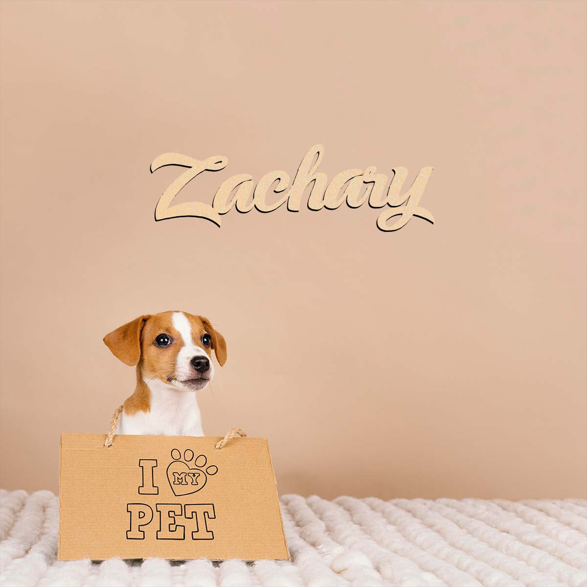 1pc decoração de casa Zachary  - Home Decor Examples avaliação e preço